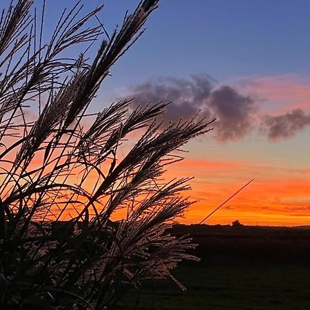 The Perch - Southwold Luxury And Blissful Views Villa Exteriör bild
